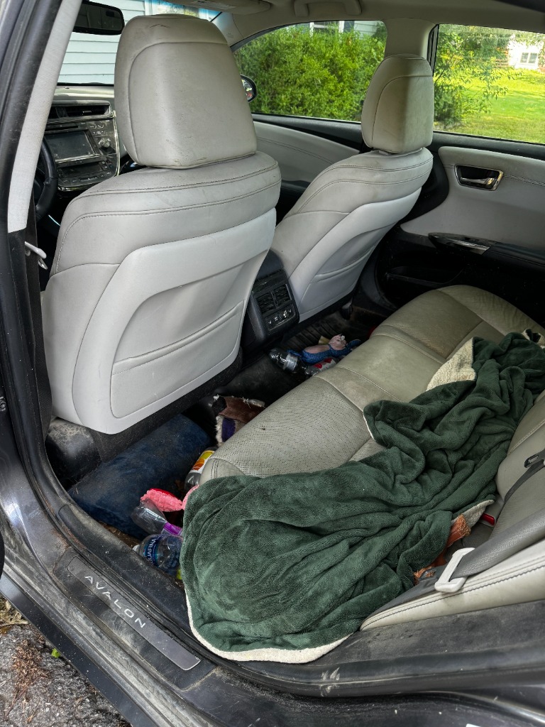 Car interior before detailing